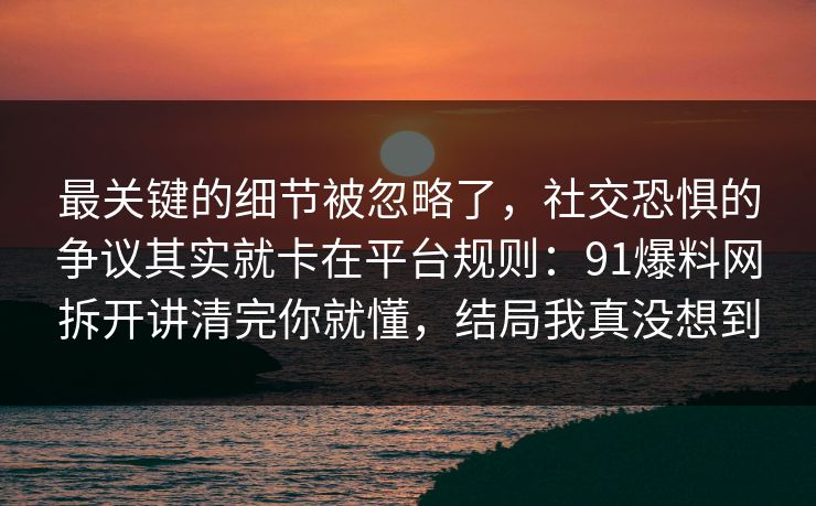 最关键的细节被忽略了，社交恐惧的争议其实就卡在平台规则：91爆料网拆开讲清完你就懂，结局我真没想到  第1张