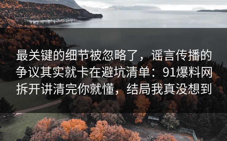 最关键的细节被忽略了，谣言传播的争议其实就卡在避坑清单：91爆料网拆开讲清完你就懂，结局我真没想到  第1张